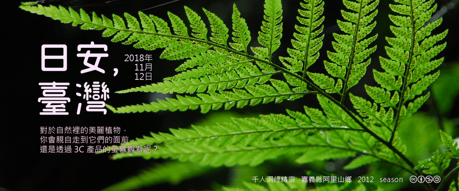 365 日安，臺灣之2018年11月12日